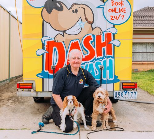 Dash DogWash 