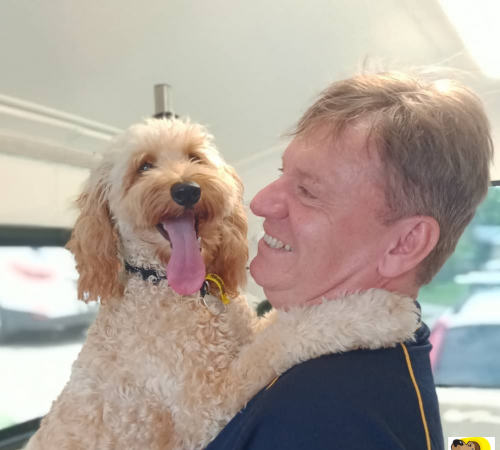 Dash DogWash dog grooming burleigh heads