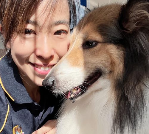 Dash DogWash dog groomer malaga