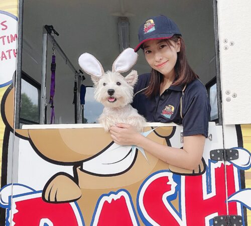 Dash DogWash mobile dog groomer ballajura