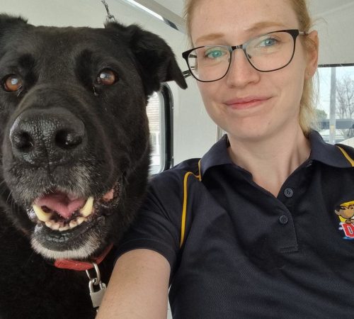 Dash DogWash dog grooming rutherford