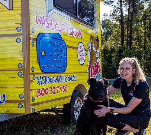 Dash DogWash dog wash rutherford