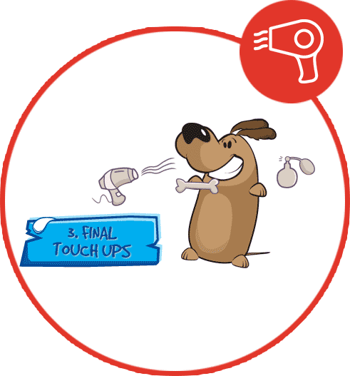 Dash DogWash Service