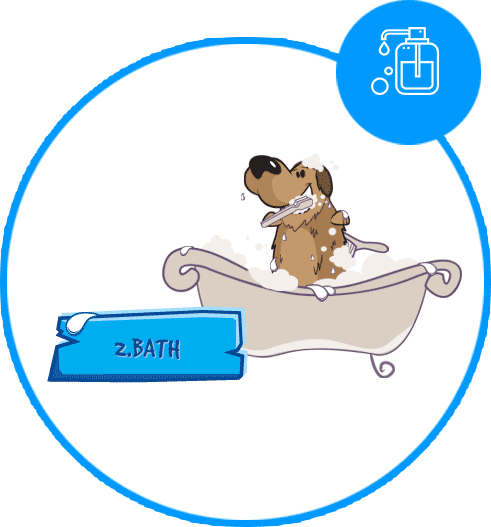 Dash DogWash Service