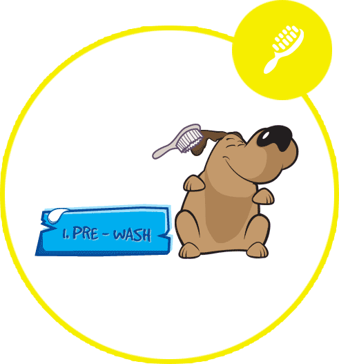 Dash DogWash Service