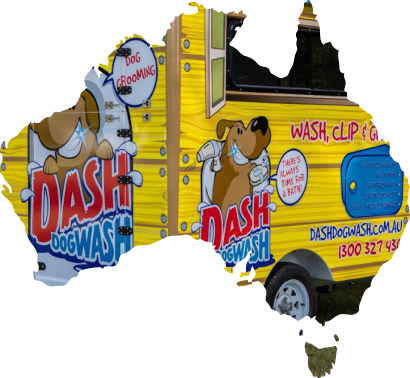 Dash DogWash