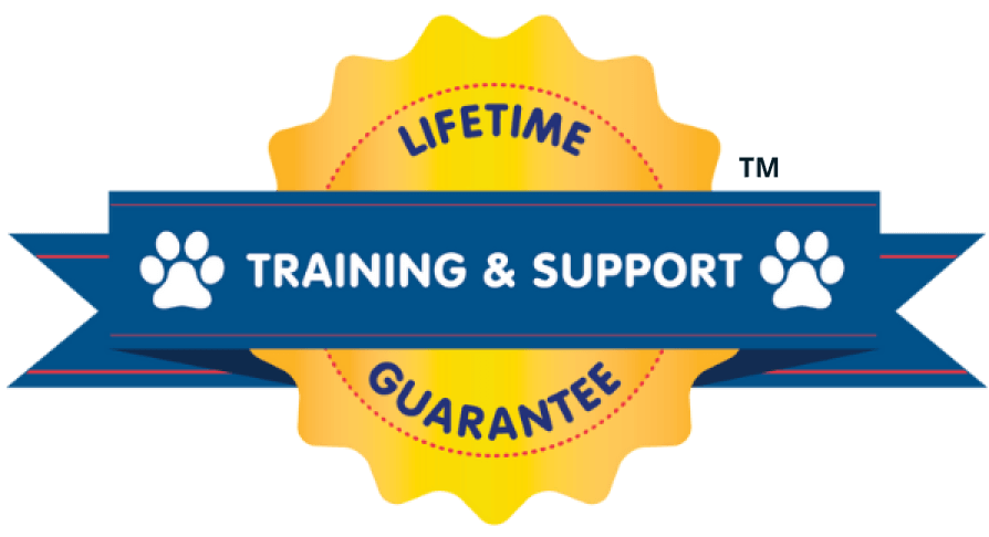 Dash DogWash- Feature